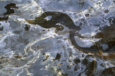 <i class='fa fa-user'></i>&nbsp;liesbeth van vliet&nbsp;|  IJs tekening&nbsp; <i class='fa fa-eye'>&nbsp;99</i> &nbsp;<i class='fa fa-thumbs-up'>&nbsp;3</i> &nbsp; <i class='fa fa-comment-o'>&nbsp;5</i>