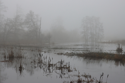 <i class='fa fa-user'></i>&nbsp;Tineke Strijbosch&nbsp;|  Hoog water en dichte mist&nbsp; <i class='fa fa-eye'>&nbsp;89</i> &nbsp;<i class='fa fa-thumbs-up'>&nbsp;3</i> &nbsp; <i class='fa fa-comment-o'>&nbsp;7</i>