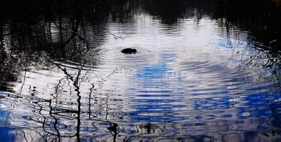 <i class='fa fa-user'></i>&nbsp;hesterb&nbsp;|  Kolkkringen&nbsp; <i class='fa fa-eye'>&nbsp;91</i> &nbsp; <i class='fa fa-comment-o'>&nbsp;0</i>