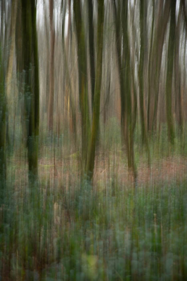 <i class='fa fa-user'></i>&nbsp;Truus Aletta Maan&nbsp;|  Bos&nbsp; <i class='fa fa-eye'>&nbsp;83</i> &nbsp;<i class='fa fa-thumbs-up'>&nbsp;2</i> &nbsp; <i class='fa fa-comment-o'>&nbsp;1</i>