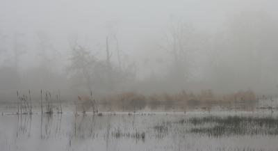 <i class='fa fa-user'></i>&nbsp;Tineke Strijbosch&nbsp;|  Verstilling&nbsp; <i class='fa fa-eye'>&nbsp;86</i> &nbsp;<i class='fa fa-thumbs-up'>&nbsp;1</i> &nbsp; <i class='fa fa-comment-o'>&nbsp;10</i>