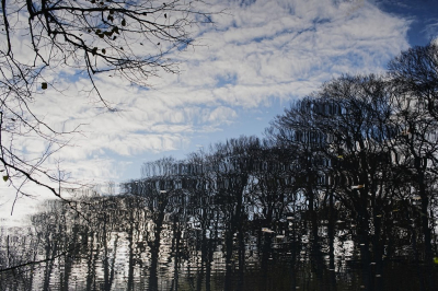 <i class='fa fa-user'></i>&nbsp;hesterb&nbsp;|  Kale seizoen&nbsp; <i class='fa fa-eye'>&nbsp;72</i> &nbsp; <i class='fa fa-comment-o'>&nbsp;7</i>