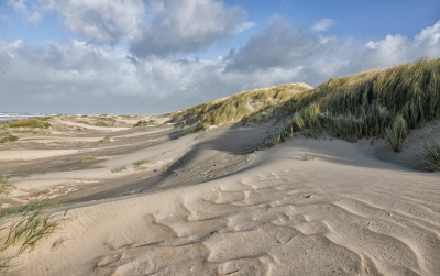 <i class='fa fa-user'></i>&nbsp;nelappelmelk&nbsp;|  Nieuwe natuur&nbsp; <i class='fa fa-eye'>&nbsp;112</i> &nbsp;<i class='fa fa-thumbs-up'>&nbsp;5</i> &nbsp; <i class='fa fa-comment-o'>&nbsp;6</i>