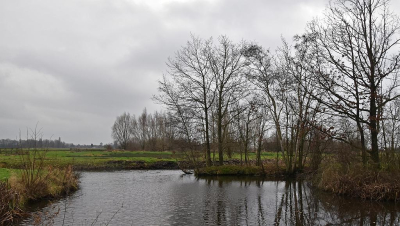 <i class='fa fa-user'></i>&nbsp;kooyammers&nbsp;|  Alles is Kaal&nbsp; <i class='fa fa-eye'>&nbsp;73</i> &nbsp;<i class='fa fa-thumbs-up'>&nbsp;1</i> &nbsp; <i class='fa fa-comment-o'>&nbsp;0</i>