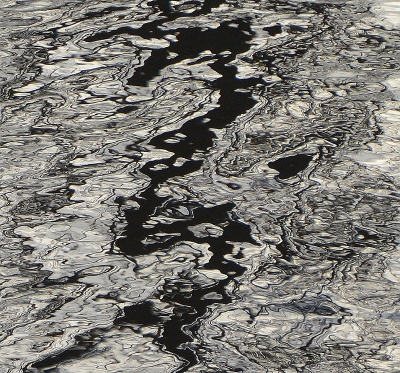 <i class='fa fa-user'></i>&nbsp;B.M.Schouten-Ruis&nbsp;|  Spiegeling in water van sloot&nbsp; <i class='fa fa-eye'>&nbsp;92</i> &nbsp;<i class='fa fa-thumbs-up'>&nbsp;5</i> &nbsp; <i class='fa fa-comment-o'>&nbsp;7</i>