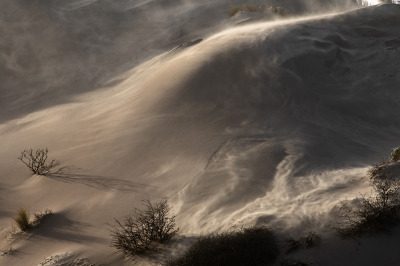 <i class='fa fa-user'></i>&nbsp;Eef Kieft&nbsp;|  Beeld uit de onderwereld�&nbsp; <i class='fa fa-eye'>&nbsp;173</i> &nbsp;<i class='fa fa-thumbs-up'>&nbsp;12</i> &nbsp; <i class='fa fa-comment-o'>&nbsp;12</i>