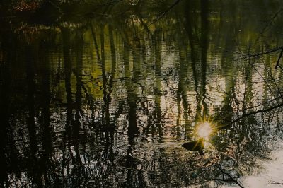 <i class='fa fa-user'></i>&nbsp;hesterb&nbsp;|  Whats real or shine?&nbsp; <i class='fa fa-eye'>&nbsp;102</i> &nbsp; <i class='fa fa-comment-o'>&nbsp;4</i>