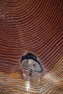 <i class='fa fa-user'></i>&nbsp;liesbeth van vliet&nbsp;|  Daar gaan we &nbsp; <i class='fa fa-eye'>&nbsp;128</i> &nbsp;<i class='fa fa-thumbs-up'>&nbsp;1</i> &nbsp; <i class='fa fa-comment-o'>&nbsp;5</i>