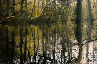 <i class='fa fa-user'></i>&nbsp;hesterb&nbsp;|  Zonneharpen erbij&nbsp; <i class='fa fa-eye'>&nbsp;143</i> &nbsp;<i class='fa fa-thumbs-up'>&nbsp;2</i> &nbsp; <i class='fa fa-comment-o'>&nbsp;4</i>