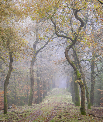 <i class='fa fa-user'></i>&nbsp;ErnovanDoorn&nbsp;|  Graspad&nbsp; <i class='fa fa-eye'>&nbsp;91</i> &nbsp;<i class='fa fa-thumbs-up'>&nbsp;2</i> &nbsp; <i class='fa fa-comment-o'>&nbsp;4</i>