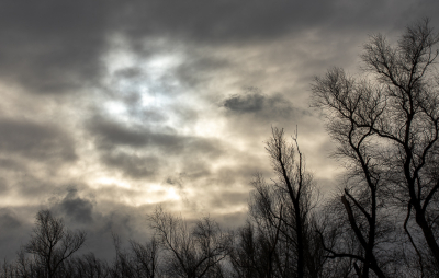 <i class='fa fa-user'></i>&nbsp;ErnovanDoorn&nbsp;|  Dreigende lucht&nbsp; <i class='fa fa-eye'>&nbsp;83</i> &nbsp; <i class='fa fa-comment-o'>&nbsp;3</i>