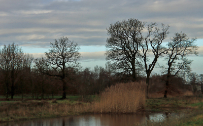 <i class='fa fa-user'></i>&nbsp;Tineke Strijbosch&nbsp;|  Donkere dagen voor Kerst&nbsp; <i class='fa fa-eye'>&nbsp;72</i> &nbsp;<i class='fa fa-thumbs-up'>&nbsp;1</i> &nbsp; <i class='fa fa-comment-o'>&nbsp;3</i>