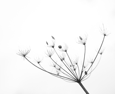 <i class='fa fa-user'></i>&nbsp;erikvanark&nbsp;|  Peen&nbsp; <i class='fa fa-eye'>&nbsp;62</i> &nbsp; <i class='fa fa-comment-o'>&nbsp;2</i>