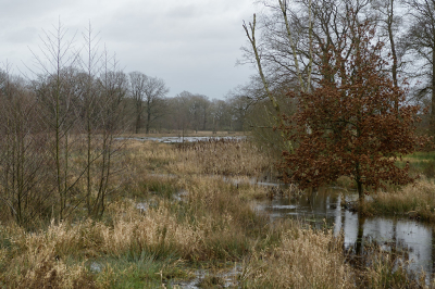 <i class='fa fa-user'></i>&nbsp;Hendrik van Kampen&nbsp;|  Scheebroekerloop&nbsp; <i class='fa fa-eye'>&nbsp;111</i> &nbsp;<i class='fa fa-thumbs-up'>&nbsp;1</i> &nbsp; <i class='fa fa-comment-o'>&nbsp;3</i>