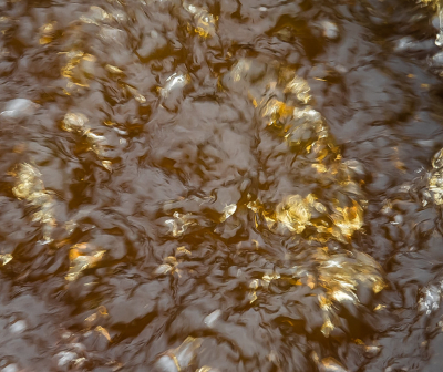 <i class='fa fa-user'></i>&nbsp;Truus Aletta Maan&nbsp;|  Water&nbsp; <i class='fa fa-eye'>&nbsp;82</i> &nbsp;<i class='fa fa-thumbs-up'>&nbsp;2</i> &nbsp; <i class='fa fa-comment-o'>&nbsp;7</i>