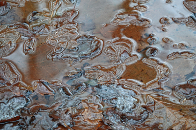 <i class='fa fa-user'></i>&nbsp;nelappelmelk&nbsp;|  Sprengenkunst&nbsp; <i class='fa fa-eye'>&nbsp;96</i> &nbsp;<i class='fa fa-thumbs-up'>&nbsp;5</i> &nbsp; <i class='fa fa-comment-o'>&nbsp;4</i>