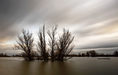 <i class='fa fa-user'></i>&nbsp;Pieter  LJ&nbsp;|  Ondergelopen Munnikenland&nbsp; <i class='fa fa-eye'>&nbsp;75</i> &nbsp;<i class='fa fa-thumbs-up'>&nbsp;6</i> &nbsp; <i class='fa fa-comment-o'>&nbsp;5</i>