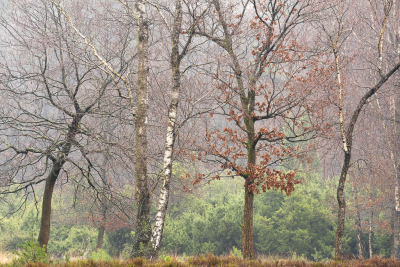 <i class='fa fa-user'></i>&nbsp;ErnovanDoorn&nbsp;|  Vreemde familie&nbsp; <i class='fa fa-eye'>&nbsp;90</i> &nbsp;<i class='fa fa-thumbs-up'>&nbsp;2</i> &nbsp; <i class='fa fa-comment-o'>&nbsp;3</i>