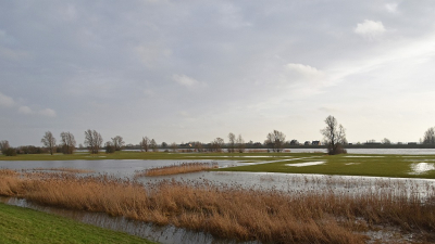 <i class='fa fa-user'></i>&nbsp;kooyammers&nbsp;|  Lekuiterwaard&nbsp; <i class='fa fa-eye'>&nbsp;63</i> &nbsp;<i class='fa fa-thumbs-up'>&nbsp;1</i> &nbsp; <i class='fa fa-comment-o'>&nbsp;1</i>