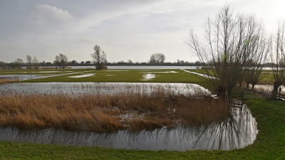 <i class='fa fa-user'></i>&nbsp;kooyammers&nbsp;|  Lekuiterwaard II&nbsp; <i class='fa fa-eye'>&nbsp;59</i> &nbsp;<i class='fa fa-thumbs-up'>&nbsp;1</i> &nbsp; <i class='fa fa-comment-o'>&nbsp;0</i>