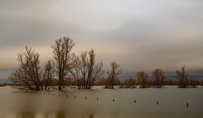 <i class='fa fa-user'></i>&nbsp;Pieter  LJ&nbsp;|  Ondergelopen Munnikenland&nbsp; <i class='fa fa-eye'>&nbsp;78</i> &nbsp;<i class='fa fa-thumbs-up'>&nbsp;3</i> &nbsp; <i class='fa fa-comment-o'>&nbsp;2</i>