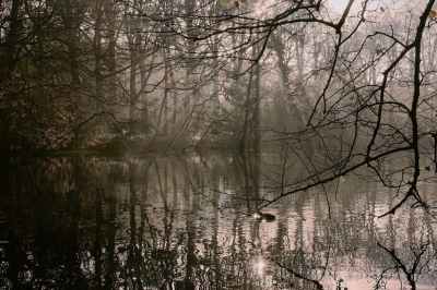 <i class='fa fa-user'></i>&nbsp;hesterb&nbsp;|  Met sterretjes?&nbsp; <i class='fa fa-eye'>&nbsp;71</i> &nbsp;<i class='fa fa-thumbs-up'>&nbsp;1</i> &nbsp; <i class='fa fa-comment-o'>&nbsp;0</i>