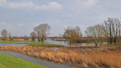 <i class='fa fa-user'></i>&nbsp;kooyammers&nbsp;|  Aardkundig monument De Bol&nbsp; <i class='fa fa-eye'>&nbsp;70</i> &nbsp;<i class='fa fa-thumbs-up'>&nbsp;1</i> &nbsp; <i class='fa fa-comment-o'>&nbsp;1</i>