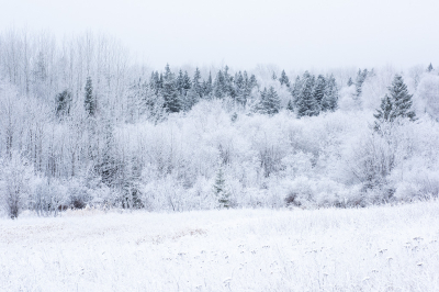 <i class='fa fa-user'></i>&nbsp;Jan Luit&nbsp;|  Sneeuwlandschap&nbsp; <i class='fa fa-eye'>&nbsp;101</i> &nbsp;<i class='fa fa-thumbs-up'>&nbsp;2</i> &nbsp; <i class='fa fa-comment-o'>&nbsp;7</i>