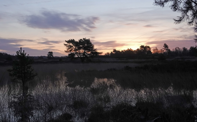 <i class='fa fa-user'></i>&nbsp;nelappelmelk&nbsp;|  Spontaan ven&nbsp; <i class='fa fa-eye'>&nbsp;99</i> &nbsp;<i class='fa fa-thumbs-up'>&nbsp;1</i> &nbsp; <i class='fa fa-comment-o'>&nbsp;3</i>