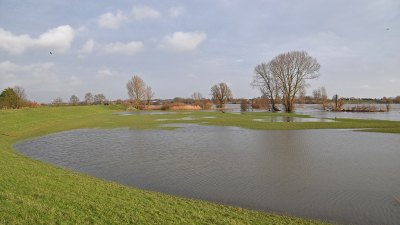 <i class='fa fa-user'></i>&nbsp;kooyammers&nbsp;|  Wateroverlast langs de Lek&nbsp; <i class='fa fa-eye'>&nbsp;71</i> &nbsp;<i class='fa fa-thumbs-up'>&nbsp;1</i> &nbsp; <i class='fa fa-comment-o'>&nbsp;4</i>