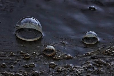 <i class='fa fa-user'></i>&nbsp;nelappelmelk&nbsp;|  Waterbellen&nbsp; <i class='fa fa-eye'>&nbsp;90</i> &nbsp;<i class='fa fa-thumbs-up'>&nbsp;2</i> &nbsp; <i class='fa fa-comment-o'>&nbsp;6</i>