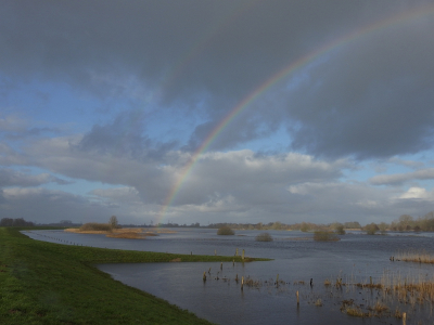 <i class='fa fa-user'></i>&nbsp;sieb&nbsp;|  Hoogwater, Overijsselse Vecht&nbsp; <i class='fa fa-eye'>&nbsp;86</i> &nbsp;<i class='fa fa-thumbs-up'>&nbsp;3</i> &nbsp; <i class='fa fa-comment-o'>&nbsp;4</i>