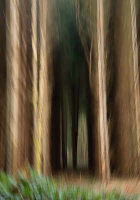 <i class='fa fa-user'></i>&nbsp;Truus Aletta Maan&nbsp;|  Bos&nbsp; <i class='fa fa-eye'>&nbsp;79</i> &nbsp;<i class='fa fa-thumbs-up'>&nbsp;1</i> &nbsp; <i class='fa fa-comment-o'>&nbsp;3</i>