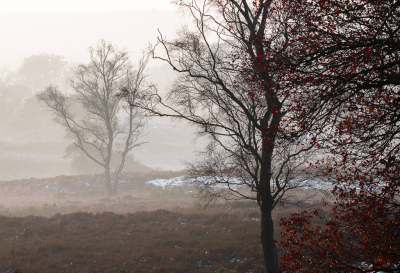 <i class='fa fa-user'></i>&nbsp;ErnovanDoorn&nbsp;|  Ochtendmist&nbsp; <i class='fa fa-eye'>&nbsp;101</i> &nbsp; <i class='fa fa-comment-o'>&nbsp;11</i>