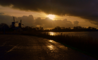 <i class='fa fa-user'></i>&nbsp;B.M.Schouten-Ruis&nbsp;|  Kralingse plas&nbsp; <i class='fa fa-eye'>&nbsp;110</i> &nbsp;<i class='fa fa-thumbs-up'>&nbsp;8</i> &nbsp; <i class='fa fa-comment-o'>&nbsp;6</i>