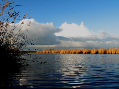Een voorzichtige poging met de eerste foto op Nederpix.