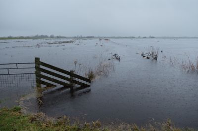 <i class='fa fa-user'></i>&nbsp;Hendrik van Kampen&nbsp;|  Retentiepolder&nbsp; <i class='fa fa-eye'>&nbsp;126</i> &nbsp; <i class='fa fa-comment-o'>&nbsp;7</i>