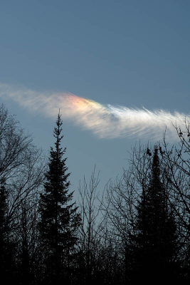 <i class='fa fa-user'></i>&nbsp;Jan Luit&nbsp;|  Bijzon&nbsp; <i class='fa fa-eye'>&nbsp;94</i> &nbsp;<i class='fa fa-thumbs-up'>&nbsp;1</i> &nbsp; <i class='fa fa-comment-o'>&nbsp;4</i>