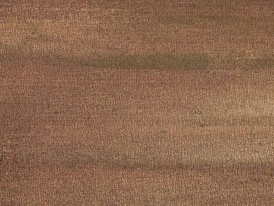 <i class='fa fa-user'></i>&nbsp;sieb&nbsp;|  Zonnebloemen&nbsp; <i class='fa fa-eye'>&nbsp;137</i> &nbsp;<i class='fa fa-thumbs-up'>&nbsp;7</i> &nbsp; <i class='fa fa-comment-o'>&nbsp;10</i>