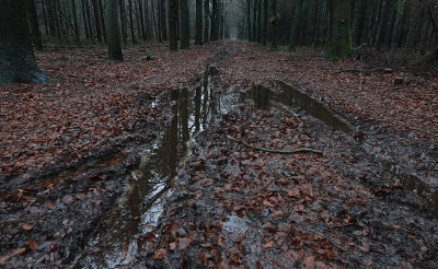 <i class='fa fa-user'></i>&nbsp;nelappelmelk&nbsp;|  Nat bospad&nbsp; <i class='fa fa-eye'>&nbsp;118</i> &nbsp; <i class='fa fa-comment-o'>&nbsp;7</i>