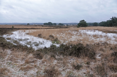 <i class='fa fa-user'></i>&nbsp;nelappelmelk&nbsp;|  Sneeuwbuitje&nbsp; <i class='fa fa-eye'>&nbsp;92</i> &nbsp; <i class='fa fa-comment-o'>&nbsp;1</i>