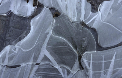 <i class='fa fa-user'></i>&nbsp;Nel R&nbsp;|  Bomijs&nbsp; <i class='fa fa-eye'>&nbsp;102</i> &nbsp;<i class='fa fa-thumbs-up'>&nbsp;3</i> &nbsp; <i class='fa fa-comment-o'>&nbsp;12</i>