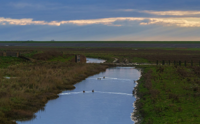 <i class='fa fa-user'></i>&nbsp;Jurgen Maassen&nbsp;|  Landschap bij Moddergat&nbsp; <i class='fa fa-eye'>&nbsp;90</i> &nbsp;<i class='fa fa-thumbs-up'>&nbsp;1</i> &nbsp; <i class='fa fa-comment-o'>&nbsp;3</i>