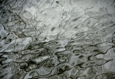 <i class='fa fa-user'></i>&nbsp;B.M.Schouten-Ruis&nbsp;|  Weerspiegeling in het water van de Kralingse Plas&nbsp; <i class='fa fa-eye'>&nbsp;91</i> &nbsp;<i class='fa fa-thumbs-up'>&nbsp;9</i> &nbsp; <i class='fa fa-comment-o'>&nbsp;10</i>