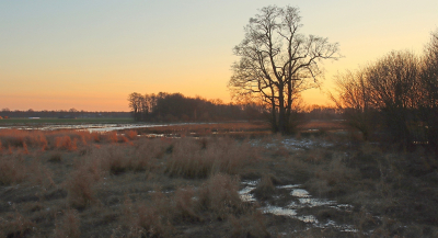 <i class='fa fa-user'></i>&nbsp;Tineke Strijbosch&nbsp;|  Zonsondergang bij de Drentsche Aa&nbsp; <i class='fa fa-eye'>&nbsp;110</i> &nbsp;<i class='fa fa-thumbs-up'>&nbsp;5</i> &nbsp; <i class='fa fa-comment-o'>&nbsp;13</i>