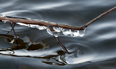 <i class='fa fa-user'></i>&nbsp;josephine&nbsp;|  Ijsafzetting&nbsp; <i class='fa fa-eye'>&nbsp;72</i> &nbsp;<i class='fa fa-thumbs-up'>&nbsp;2</i> &nbsp; <i class='fa fa-comment-o'>&nbsp;6</i>