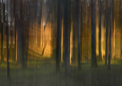 <i class='fa fa-user'></i>&nbsp;liesbeth van vliet&nbsp;|  Laat zonnetje in bos&nbsp; <i class='fa fa-eye'>&nbsp;111</i> &nbsp;<i class='fa fa-thumbs-up'>&nbsp;3</i> &nbsp; <i class='fa fa-comment-o'>&nbsp;8</i>