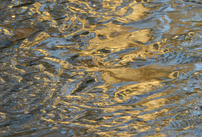 <i class='fa fa-user'></i>&nbsp;Truus Aletta Maan&nbsp;|  IJs&nbsp; <i class='fa fa-eye'>&nbsp;74</i> &nbsp;<i class='fa fa-thumbs-up'>&nbsp;3</i> &nbsp; <i class='fa fa-comment-o'>&nbsp;4</i>