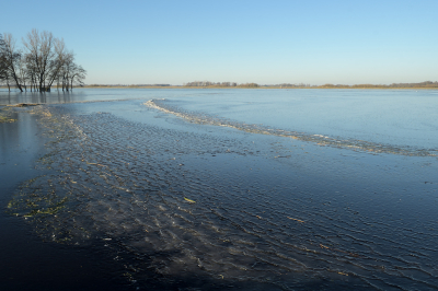 <i class='fa fa-user'></i>&nbsp;Hendrik van Kampen&nbsp;|  Retentiepolder&nbsp; <i class='fa fa-eye'>&nbsp;95</i> &nbsp;<i class='fa fa-thumbs-up'>&nbsp;1</i> &nbsp; <i class='fa fa-comment-o'>&nbsp;4</i>
