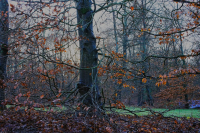 <i class='fa fa-user'></i>&nbsp;hesterb&nbsp;|  Cultuurparknatuur&nbsp; <i class='fa fa-eye'>&nbsp;76</i> &nbsp; <i class='fa fa-comment-o'>&nbsp;6</i>